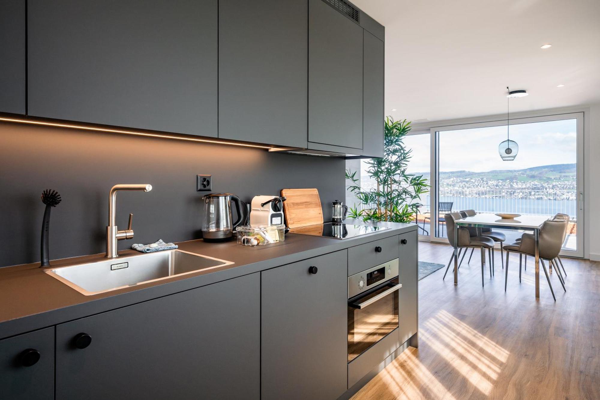 Aestate Living Lakeview In Horgen Zuerich Zug Pfaeffikon Экстерьер фото